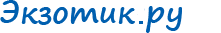 Экзотик-тур